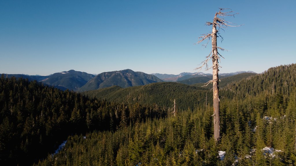 Aerial view of Riverdaughter Acres in Honeymoon Bay, Vancouver Island
