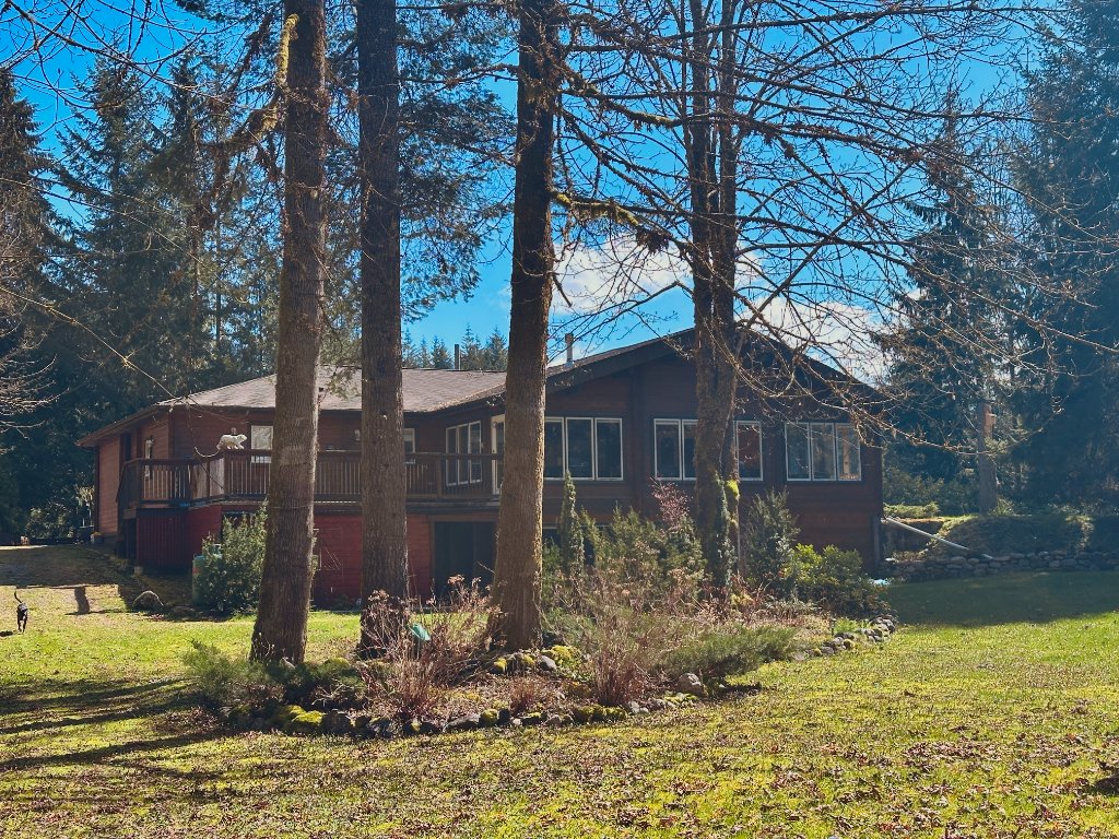 Forest trails on the Riverdaughter Acres property