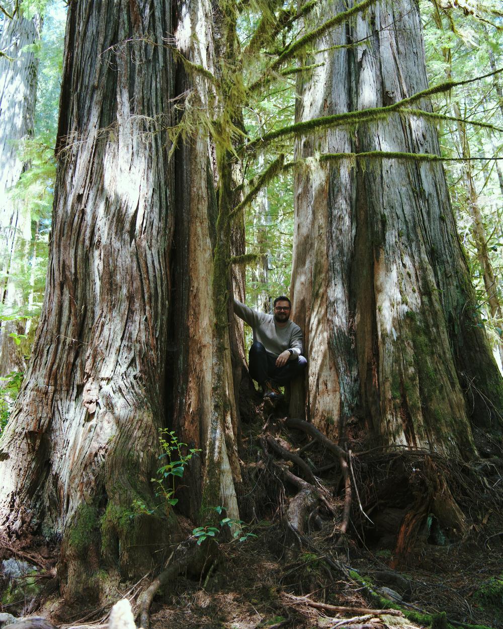 Francis Hall sitting among old-growth cedars on Vancouver Island